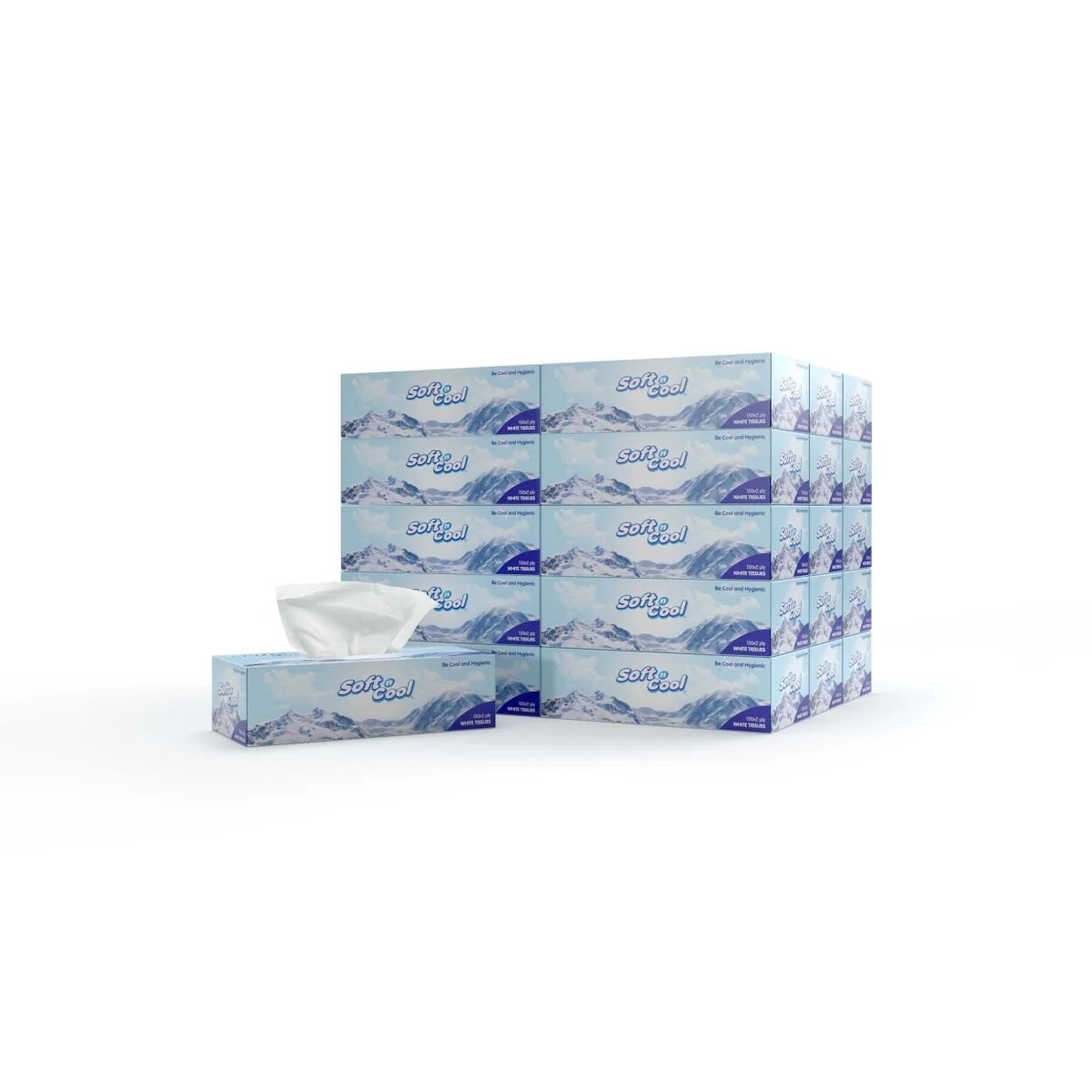 30 boxes Soft n Cool Facial Tissue x 2 ply - Image 27