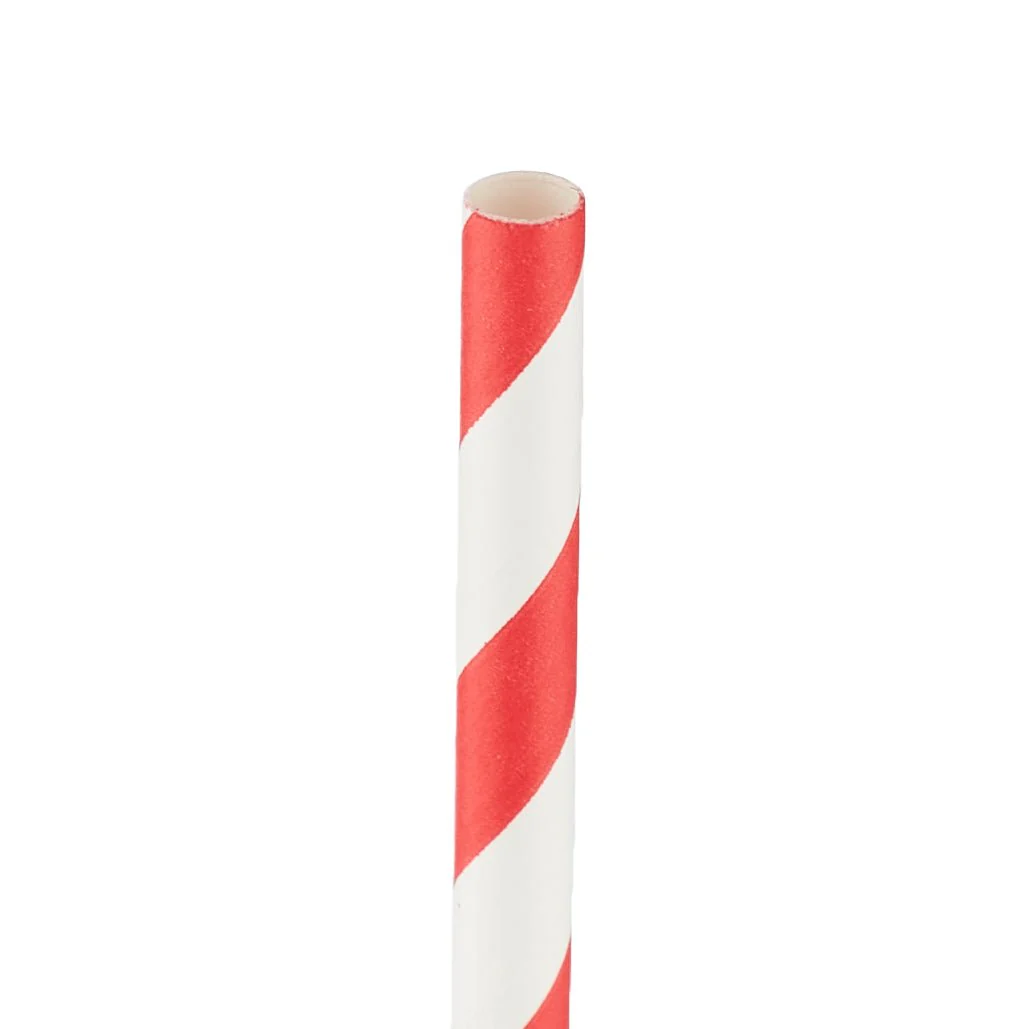 6 mm Paper Straw Without Wrap - Image 19