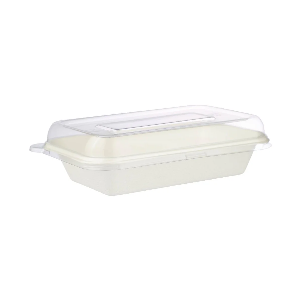 Bio-Degradable Multi-Purpose Container - Image 2