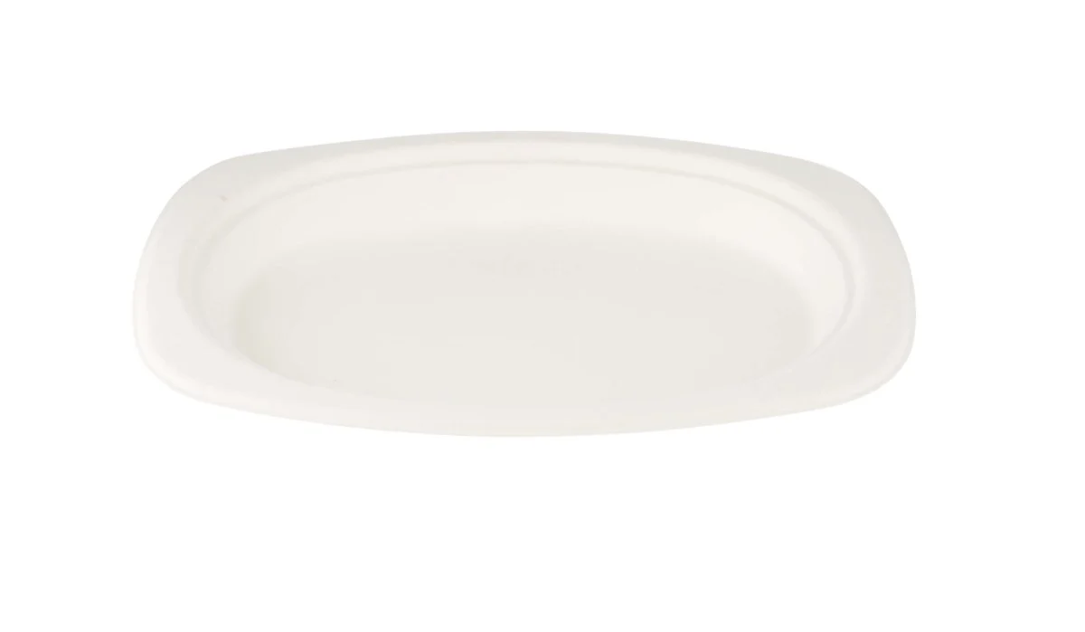 Bio-Degradable Oval Plate 9x6.5 Inch 500 Pieces - Image 3