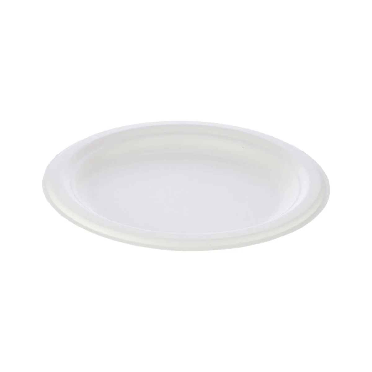 Biodegradable Paper Pulp Plate | 10 Pieces