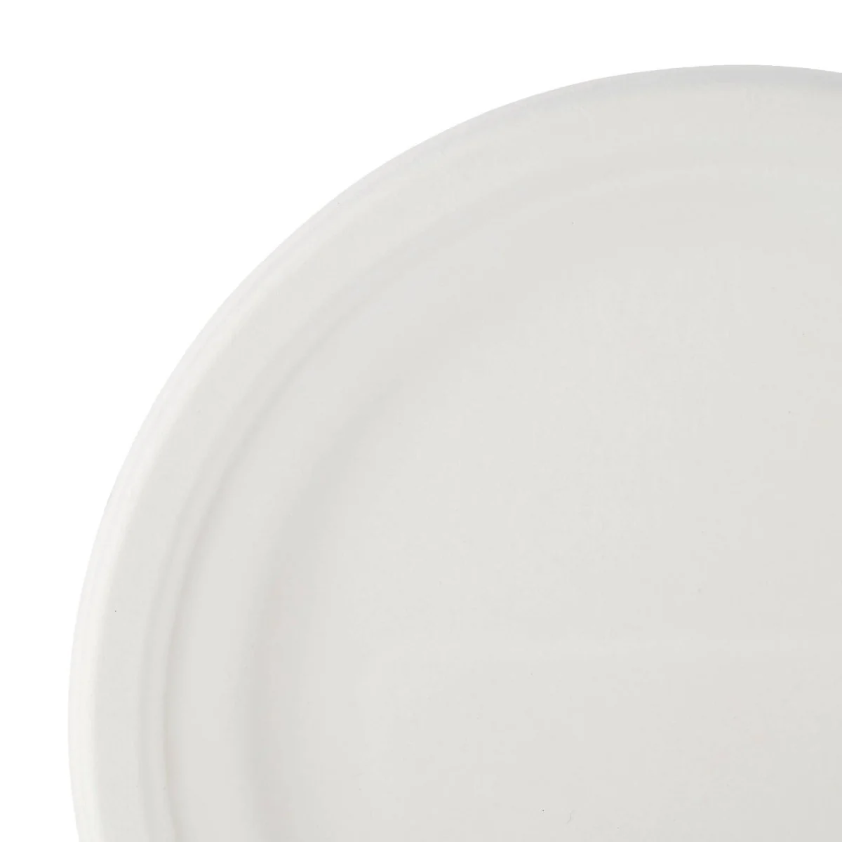 Biodegradable Paper Pulp Plate | 10 Pieces - Image 11