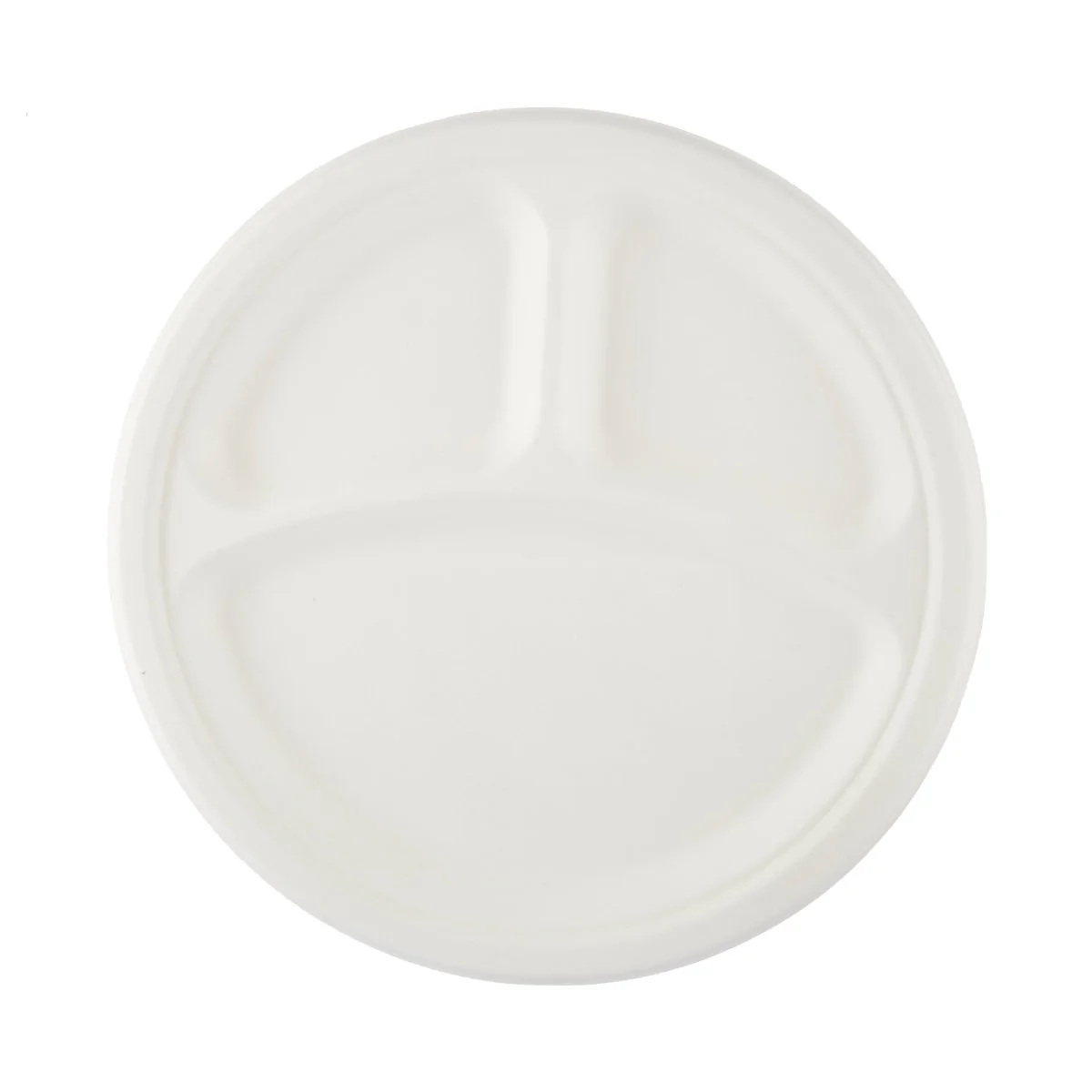Biodegradable Paper Pulp Plate | 10 Pieces - Image 2