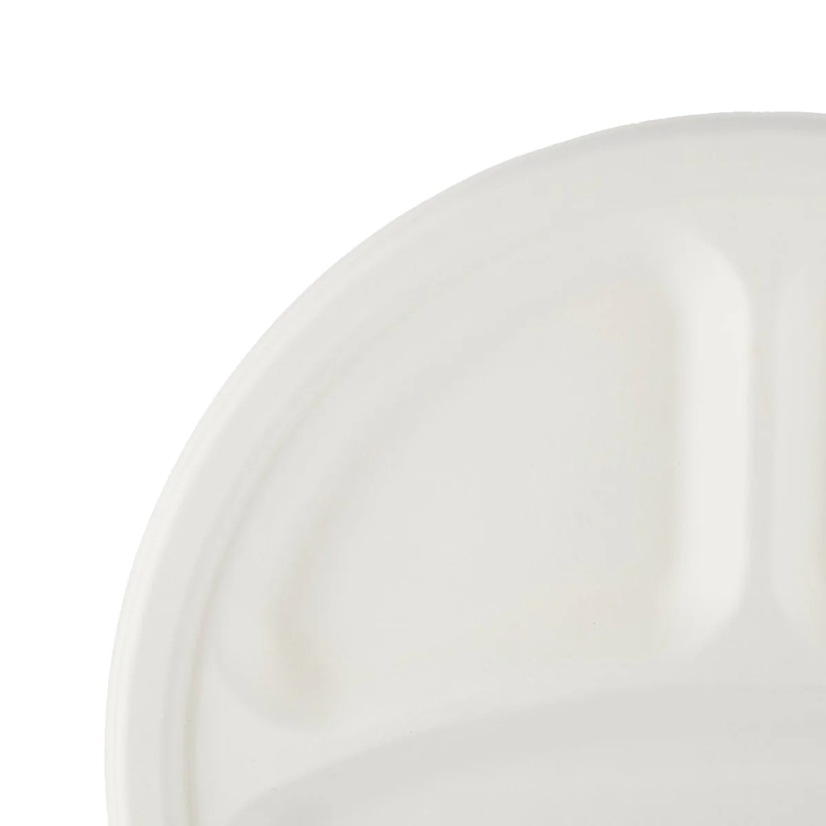 Biodegradable Paper Pulp Plate | 10 Pieces - Image 3