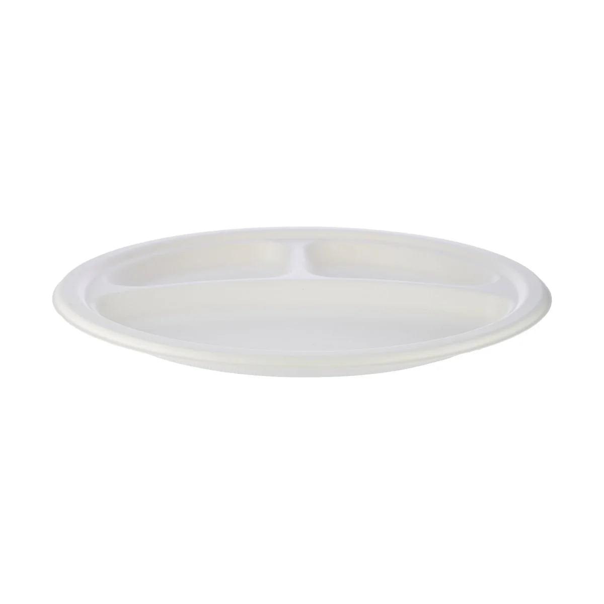 Biodegradable Paper Pulp Plate | 10 Pieces - Image 4