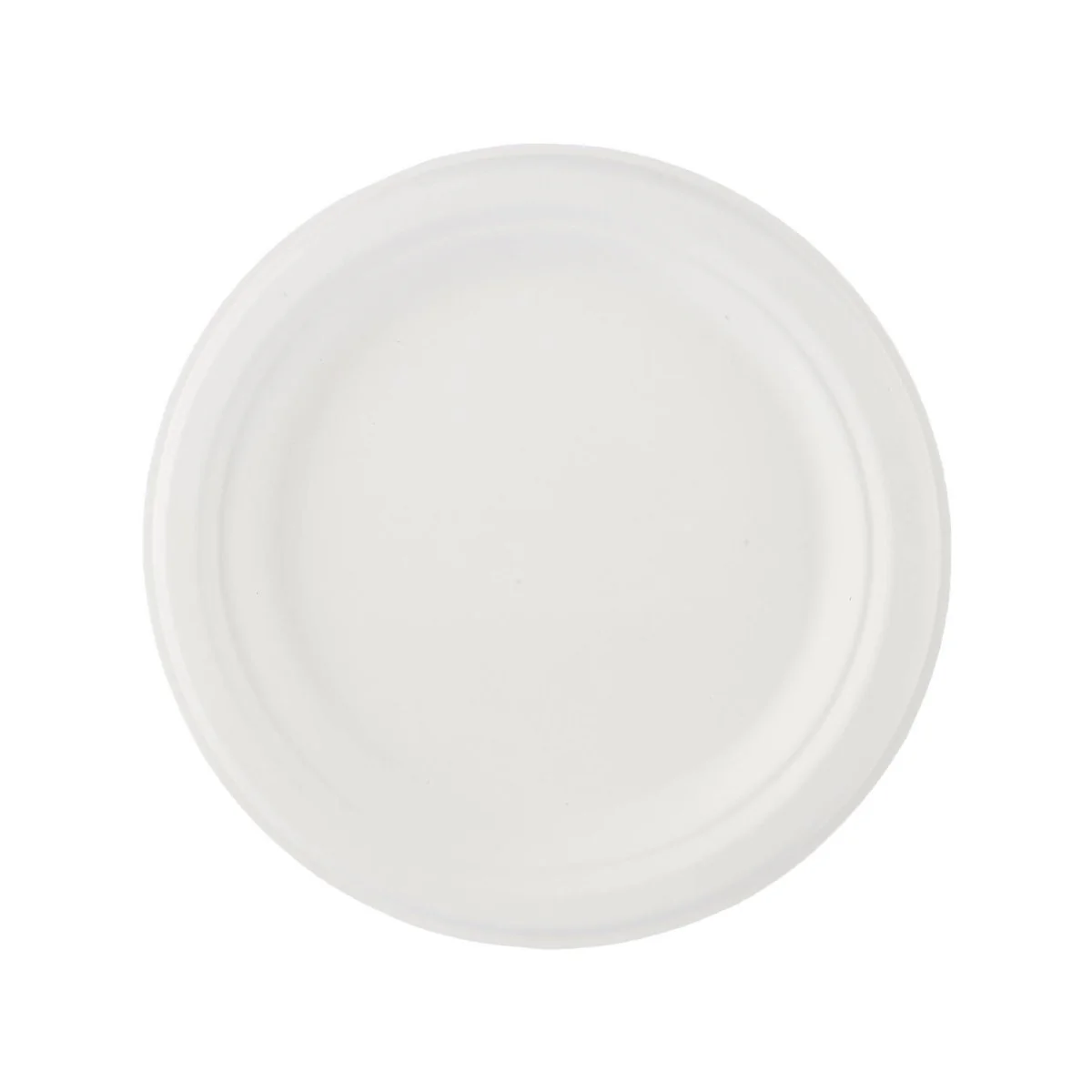 Biodegradable Paper Pulp Plate | 10 Pieces - Image 5