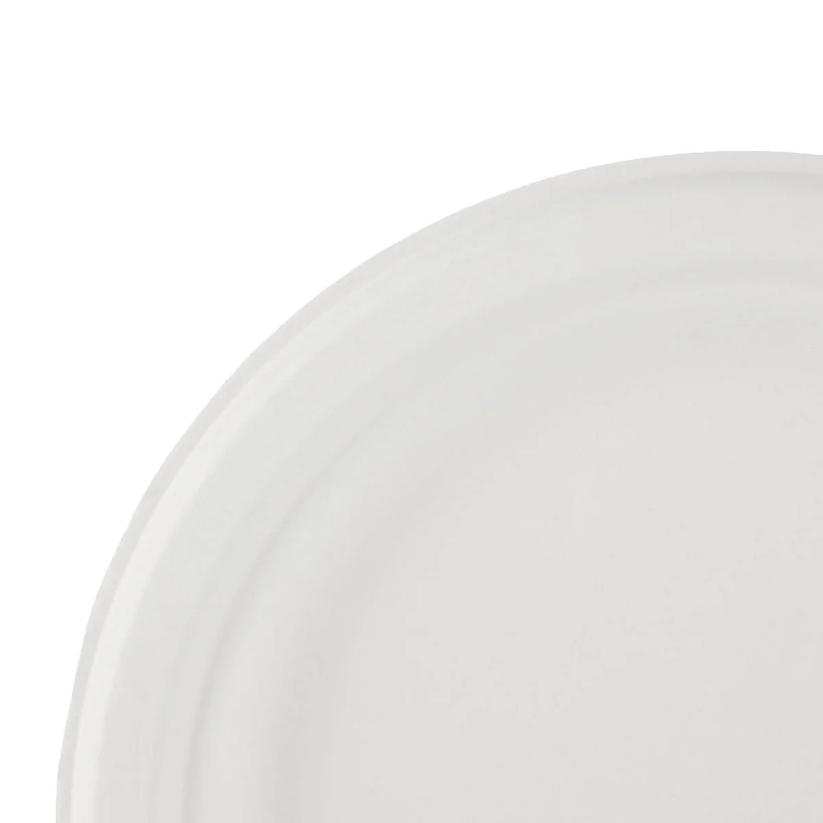 Biodegradable Paper Pulp Plate | 10 Pieces - Image 7