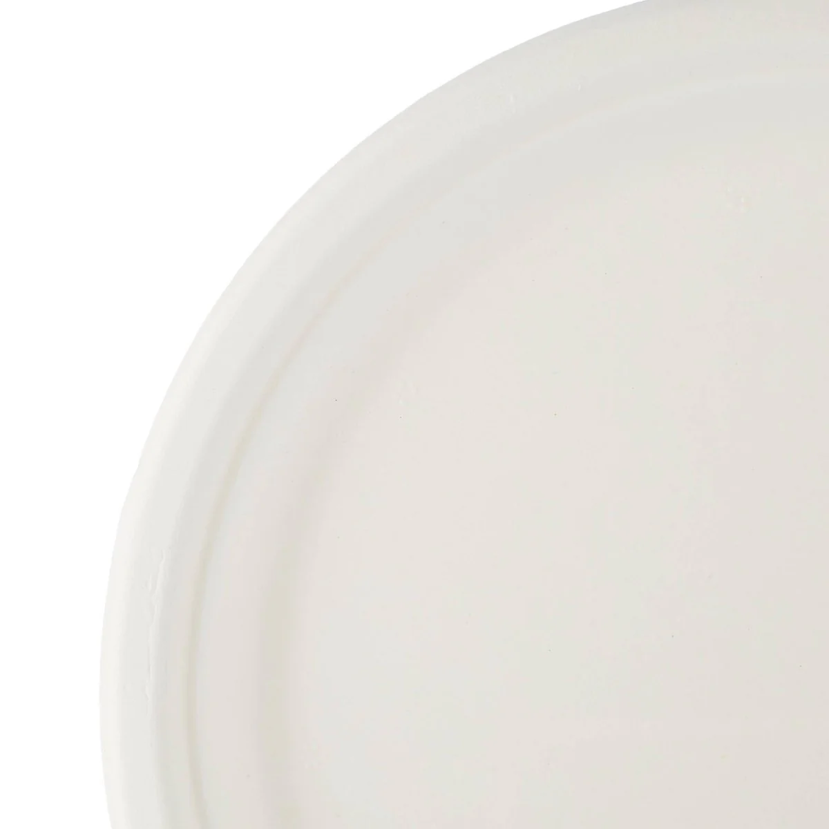 Biodegradable Paper Pulp Plate | 10 Pieces - Image 9