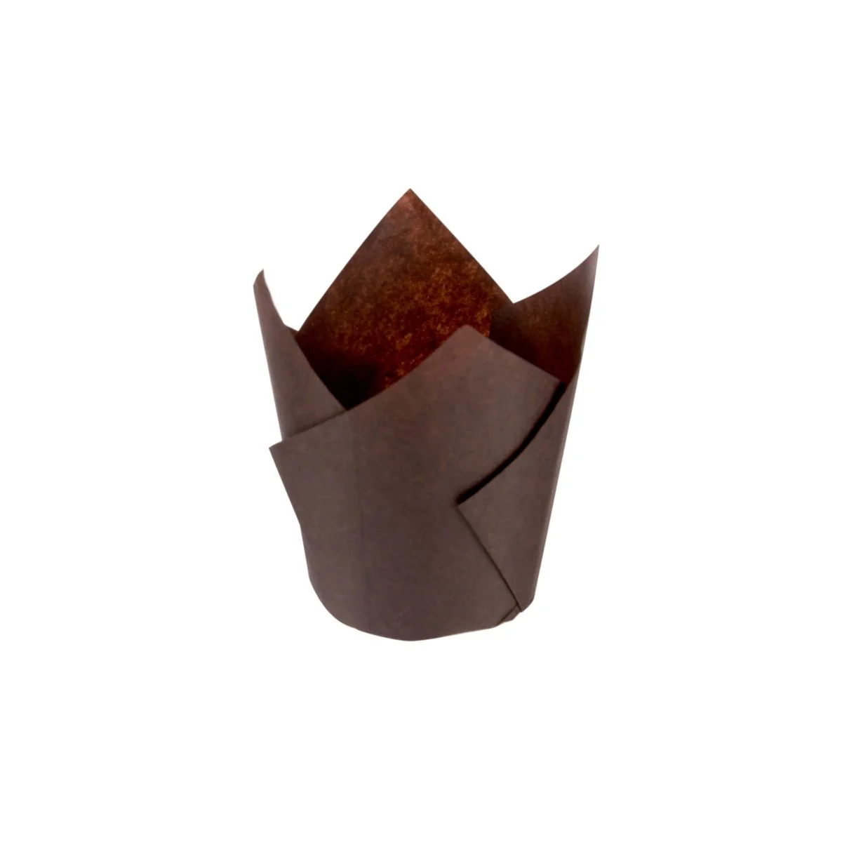 Brown Tulip Muffin Paper Cups - Image 3