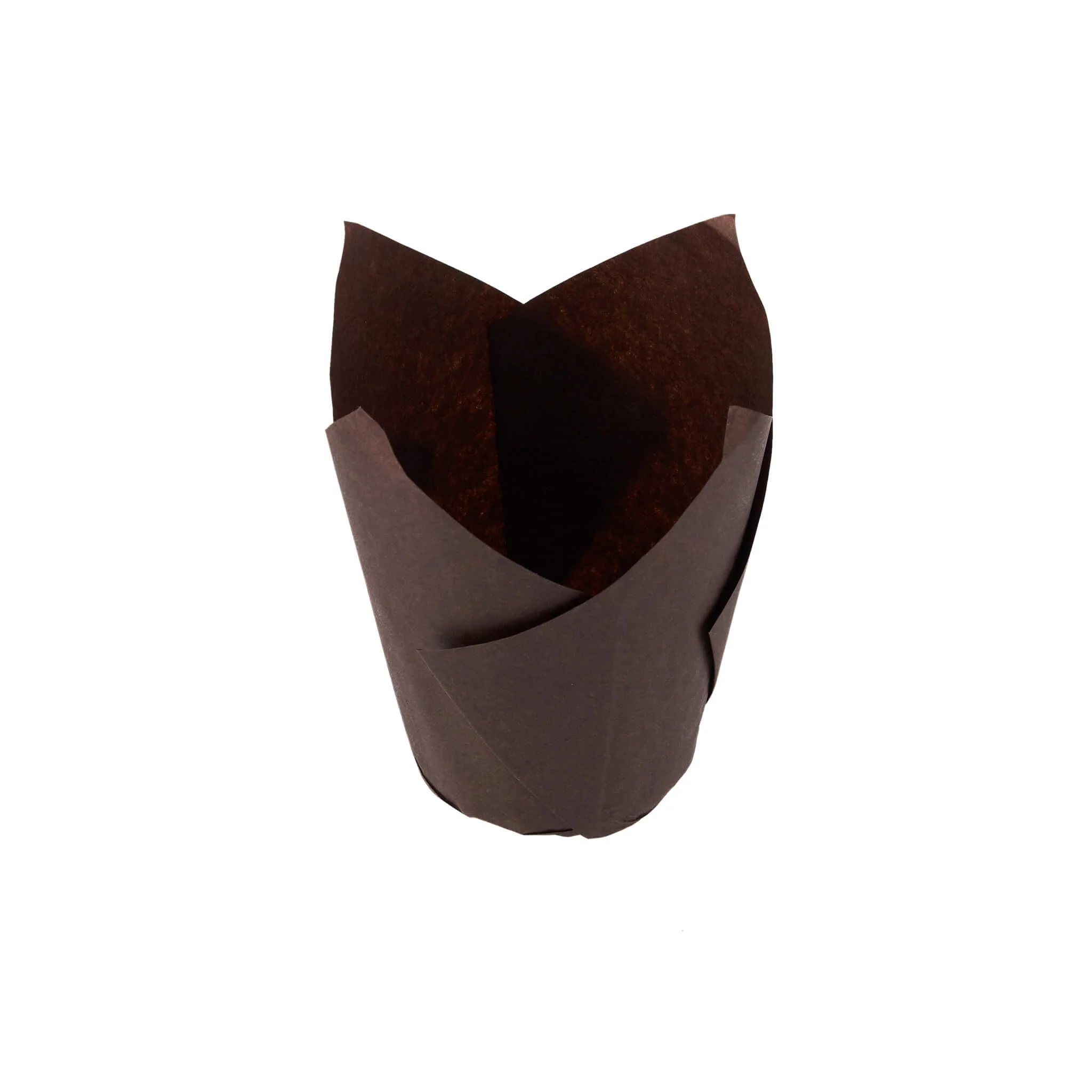 Brown Tulip Muffin Paper Cups - Image 6