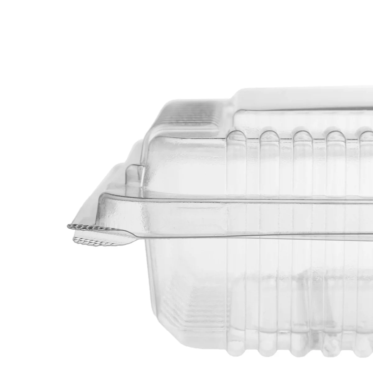 Clear Hinged Container - Image 5