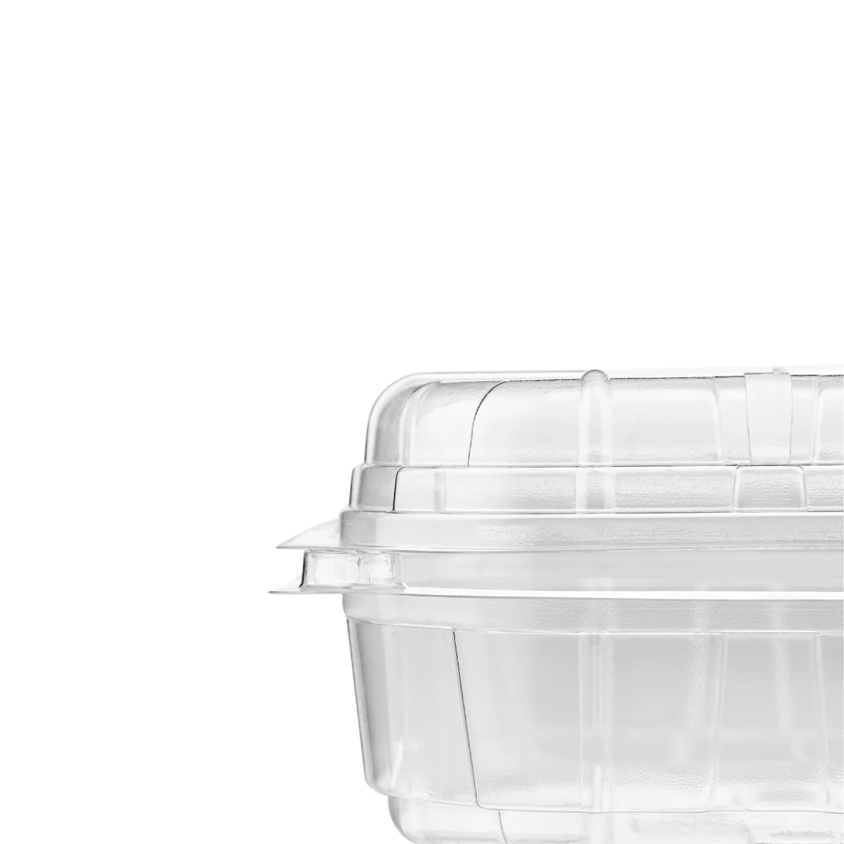 Clear PET Punnet Hinged Container - Image 15