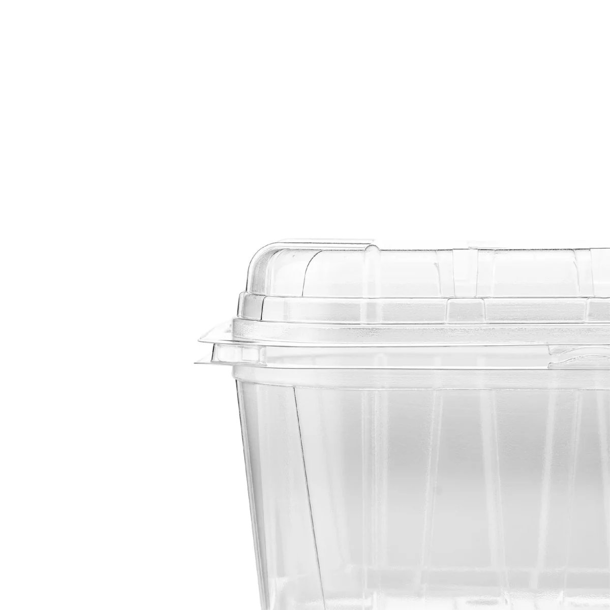Clear PET Punnet Hinged Container - Image 20
