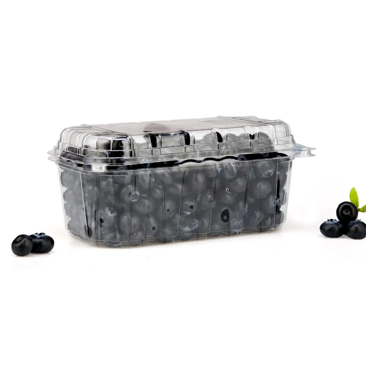Clear PET Punnet Hinged Container - Image 21