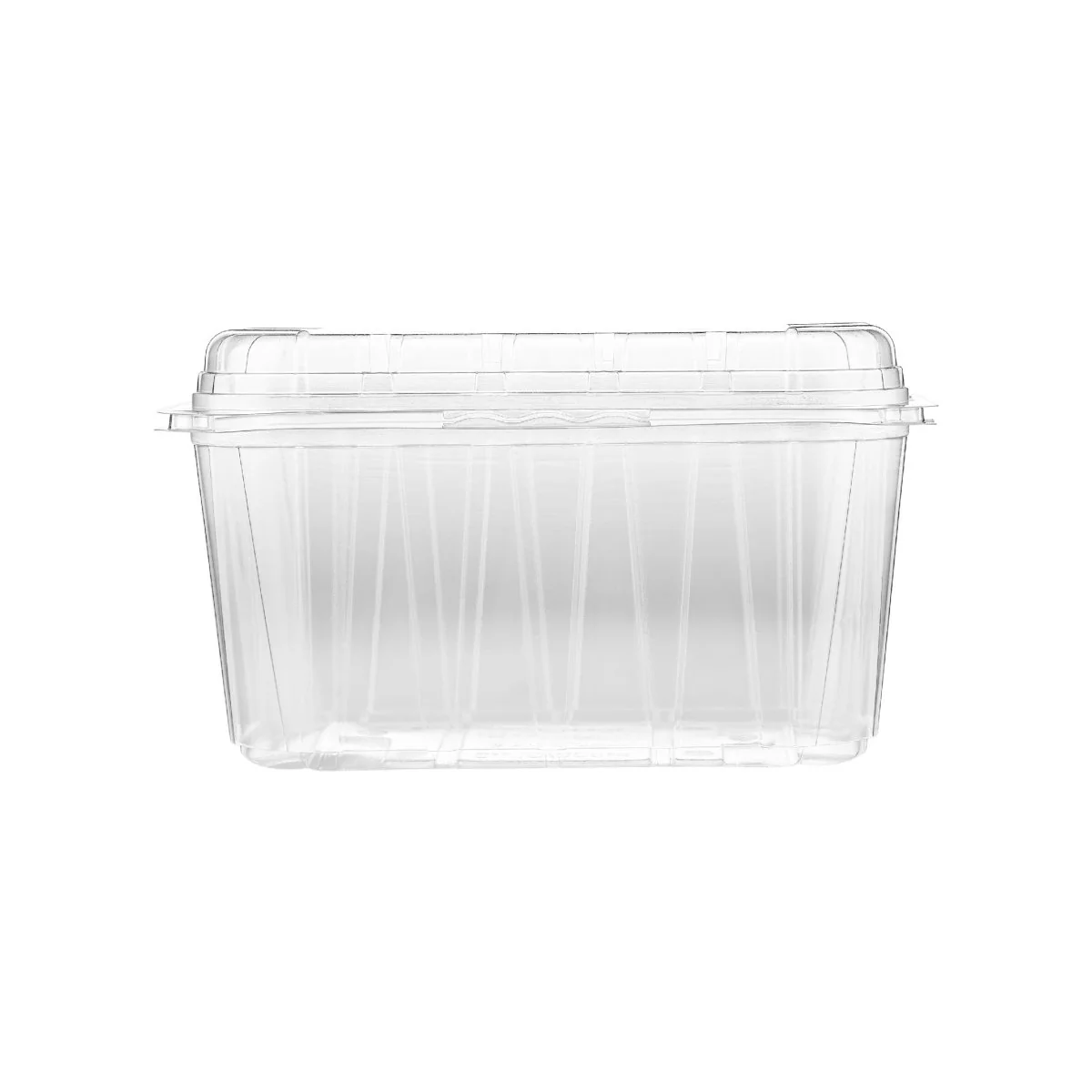 Clear PET Punnet Hinged Container - Image 22