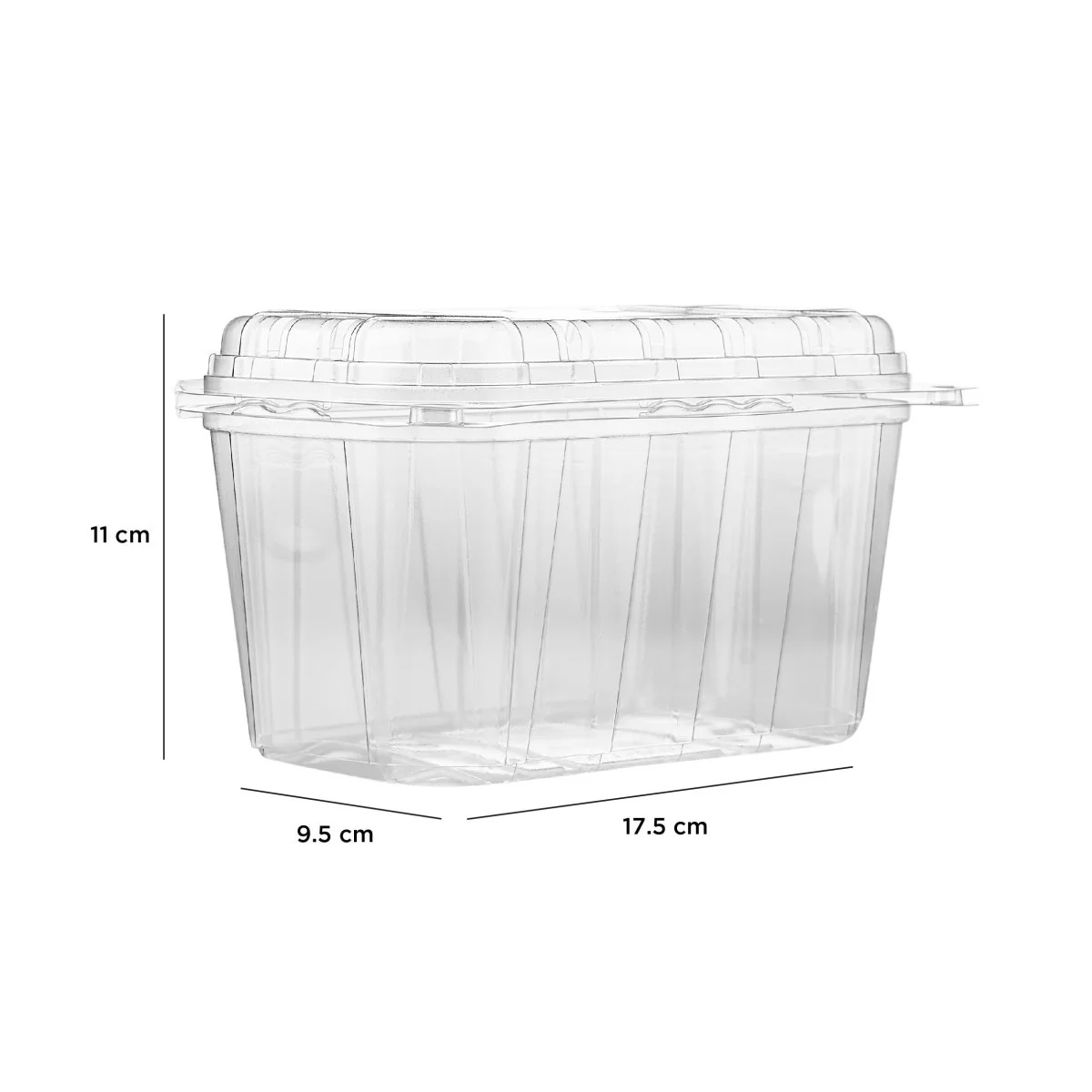 Clear PET Punnet Hinged Container - Image 24