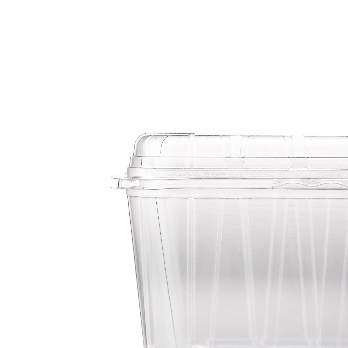 Clear PET Punnet Hinged Container - Image 25