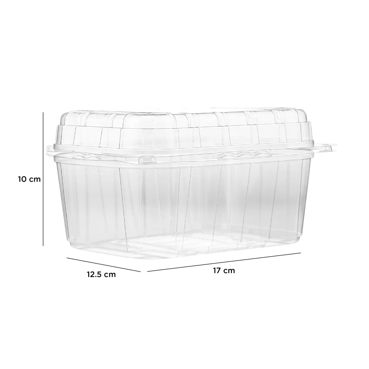 Clear PET Punnet Hinged Container - Image 29