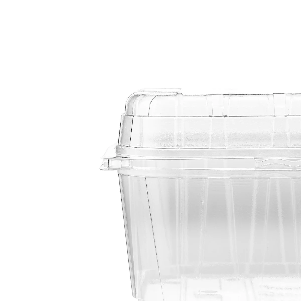Clear PET Punnet Hinged Container - Image 30