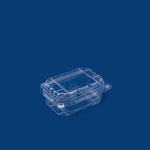 Clear PET Punnet Hinged Container - Image 4