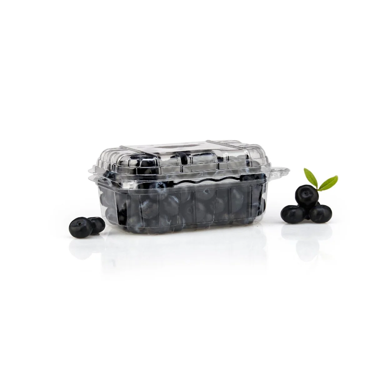 Clear PET Punnet Hinged Container - Image 6