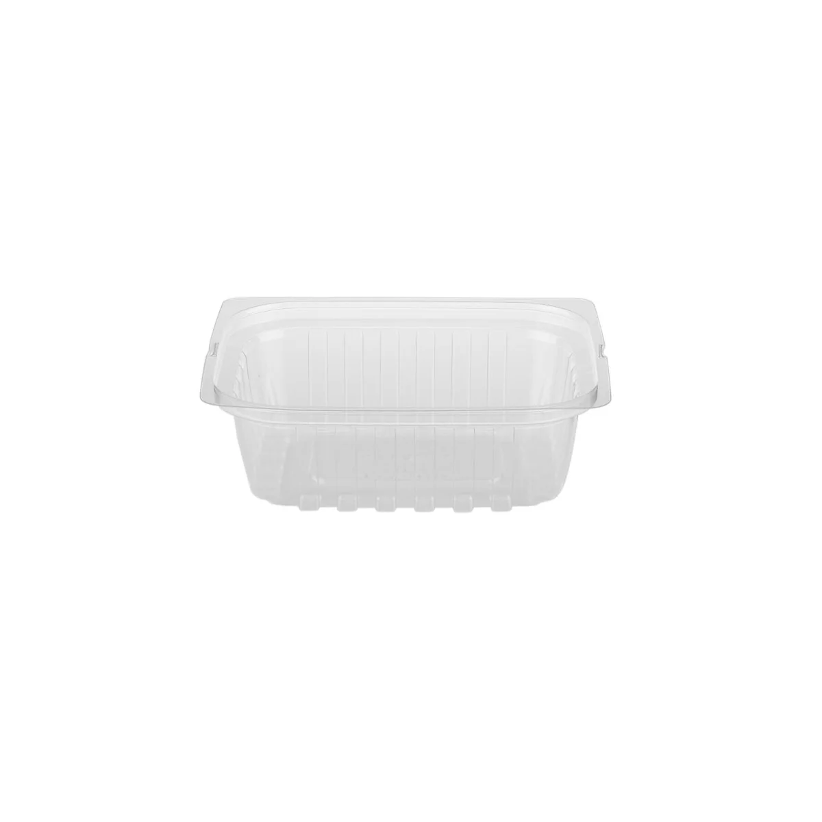 Clear Rectangular Container With Lid - Image 20