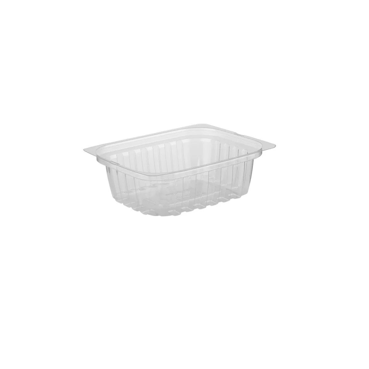 Clear Rectangular Container With Lid - Image 21