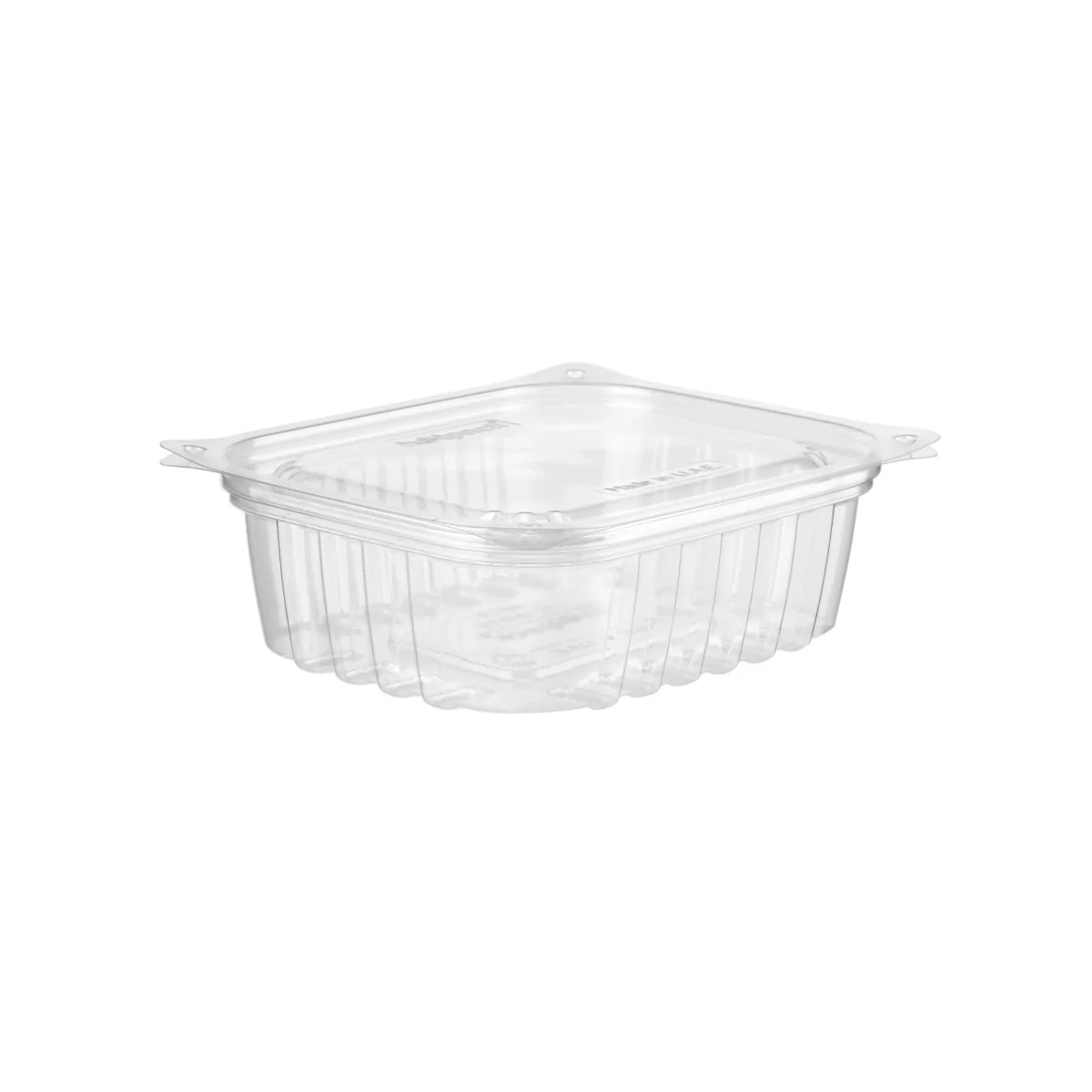 Clear Rectangular Container With Lid - Image 24