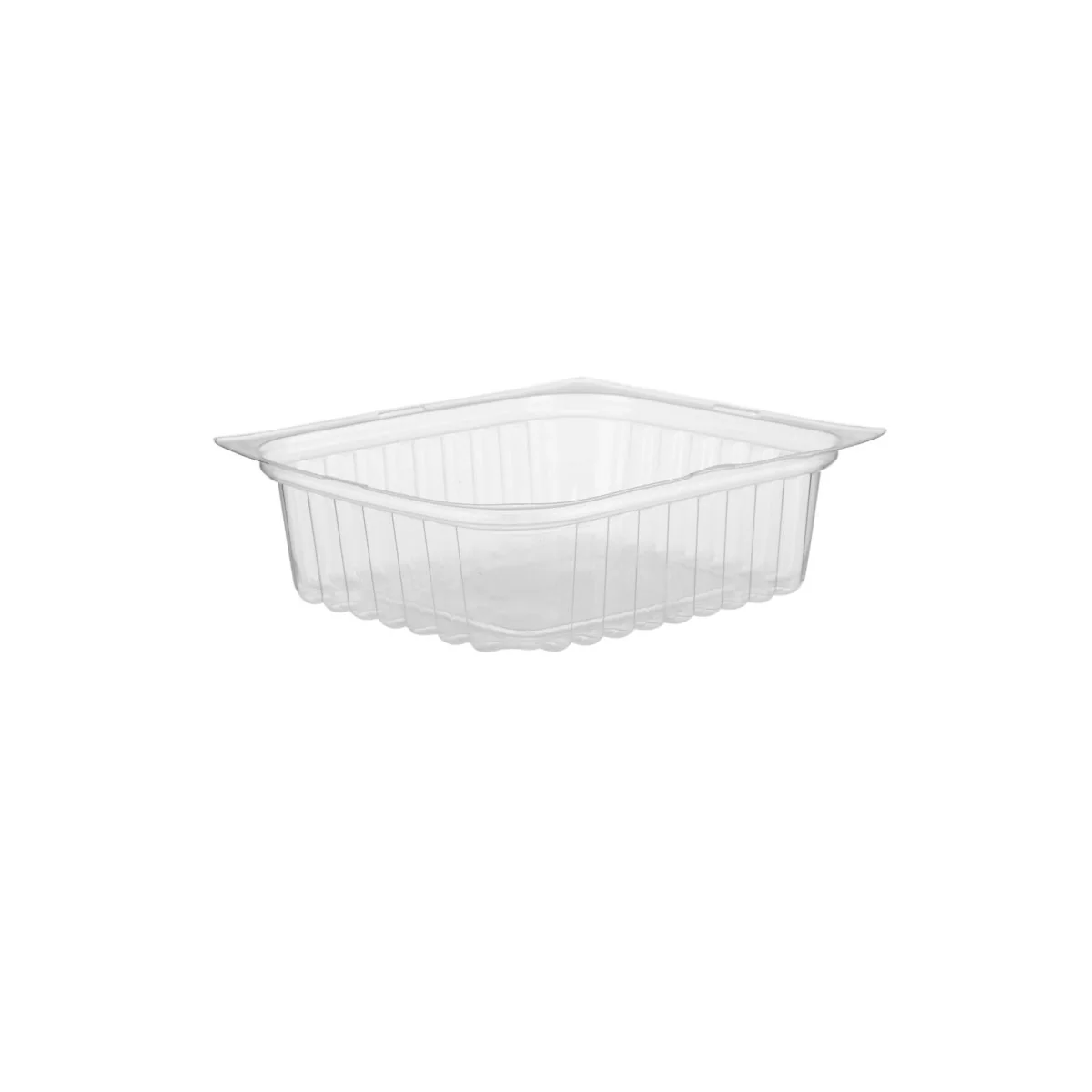 Clear Rectangular Container With Lid - Image 33