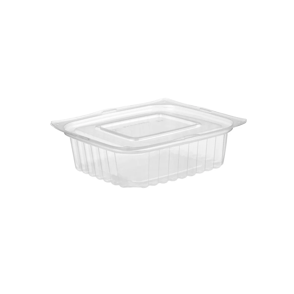 Clear Rectangular Container With Lid - Image 36
