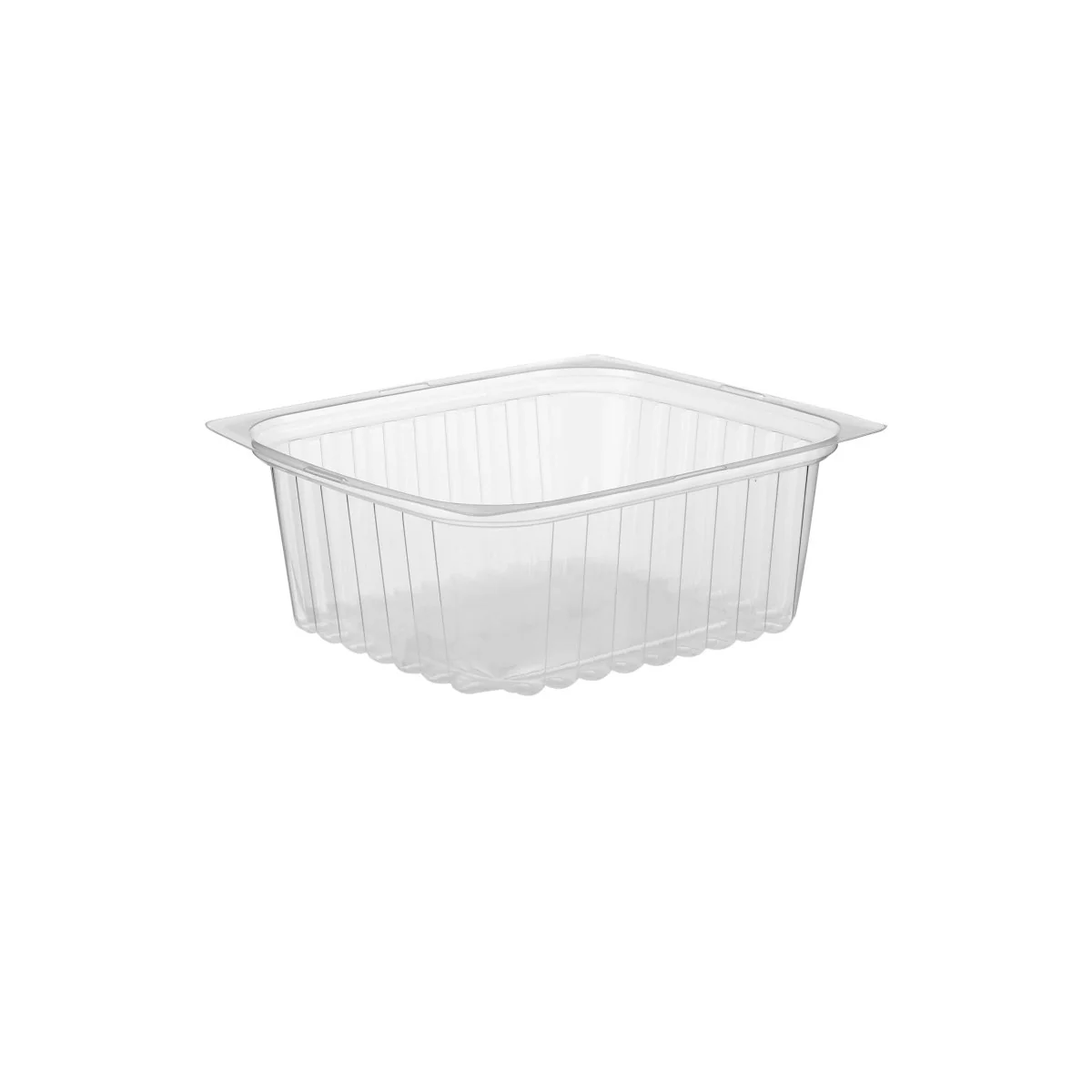 Clear Rectangular Container With Lid - Image 38