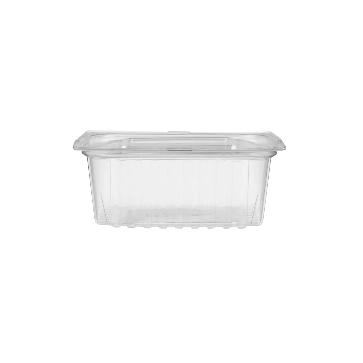 Clear Rectangular Container With Lid - Image 39
