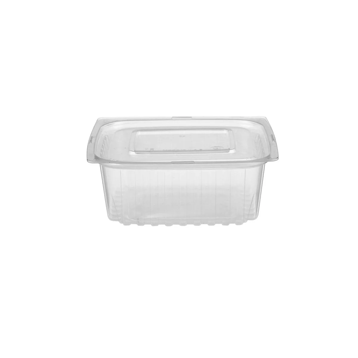 Clear Rectangular Container With Lid - Image 40