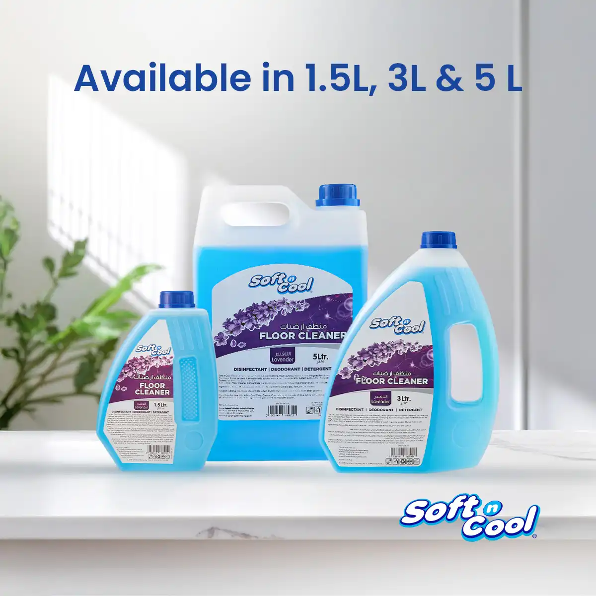 Floor Cleaner Lavender - Image 4