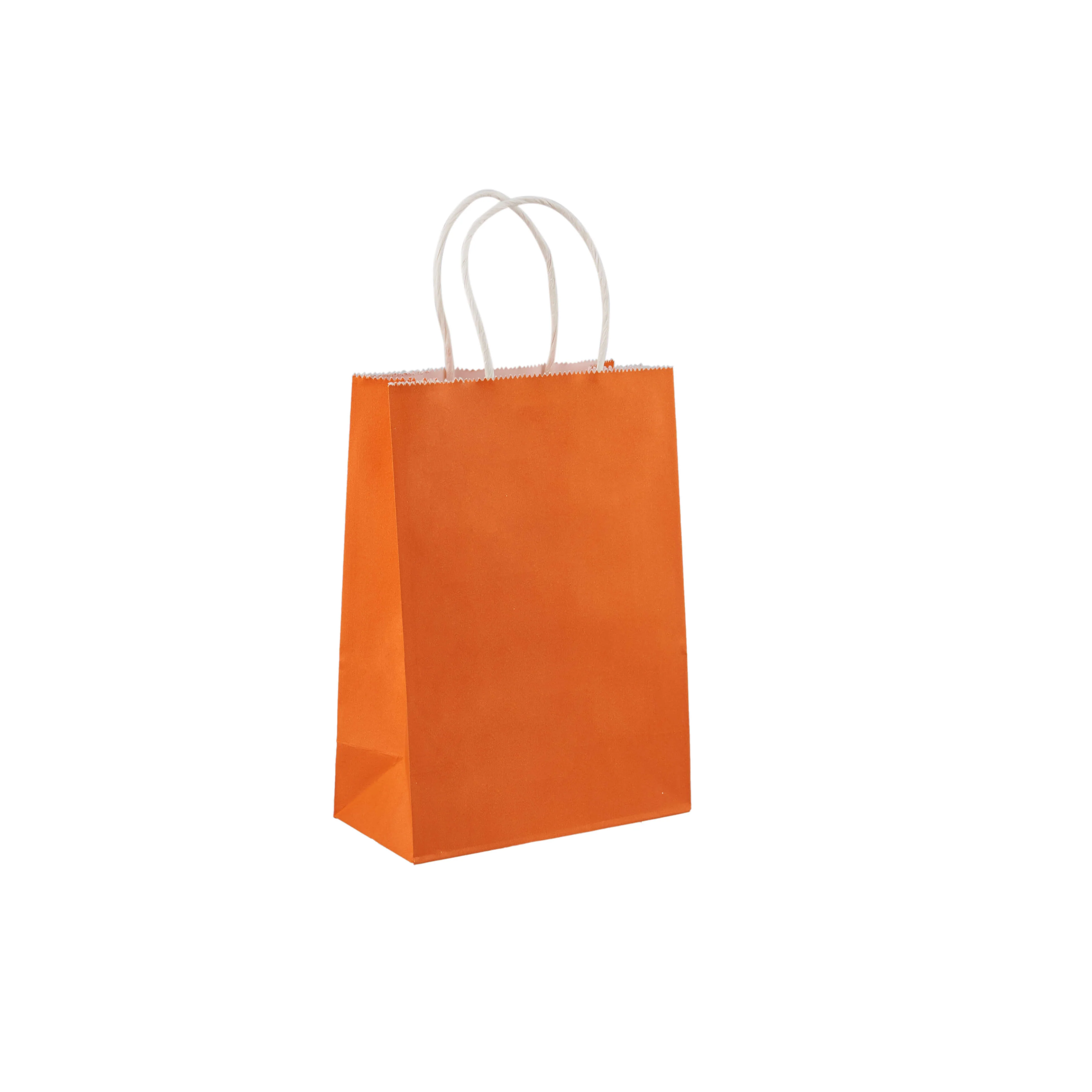 Gift Paper Bag Twisted Handle