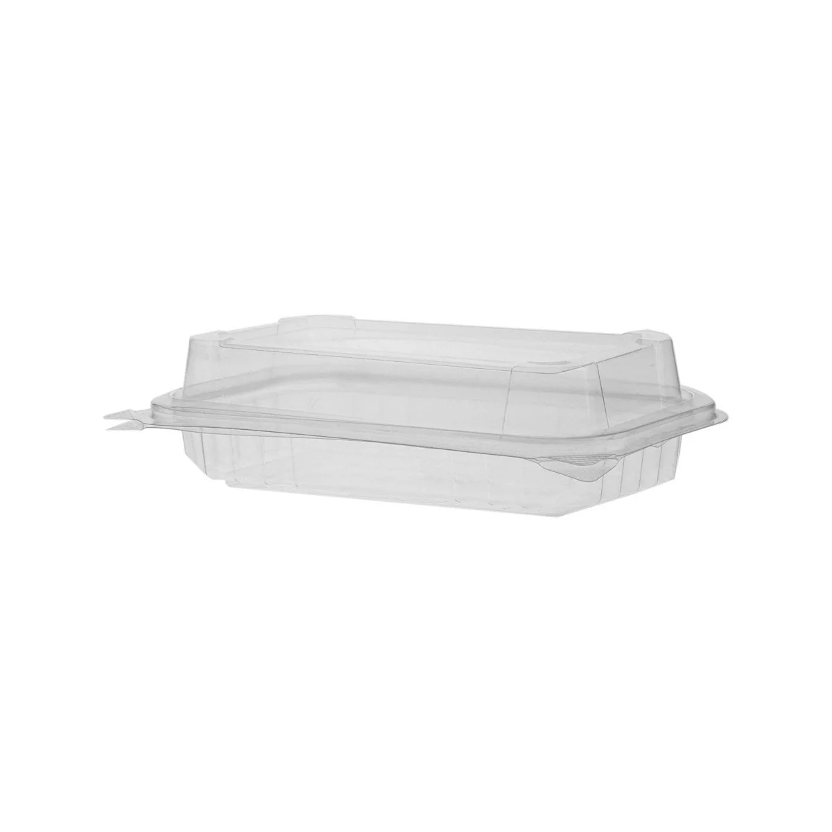 Hinged Pastry Container Easy Lock 320 Pieces