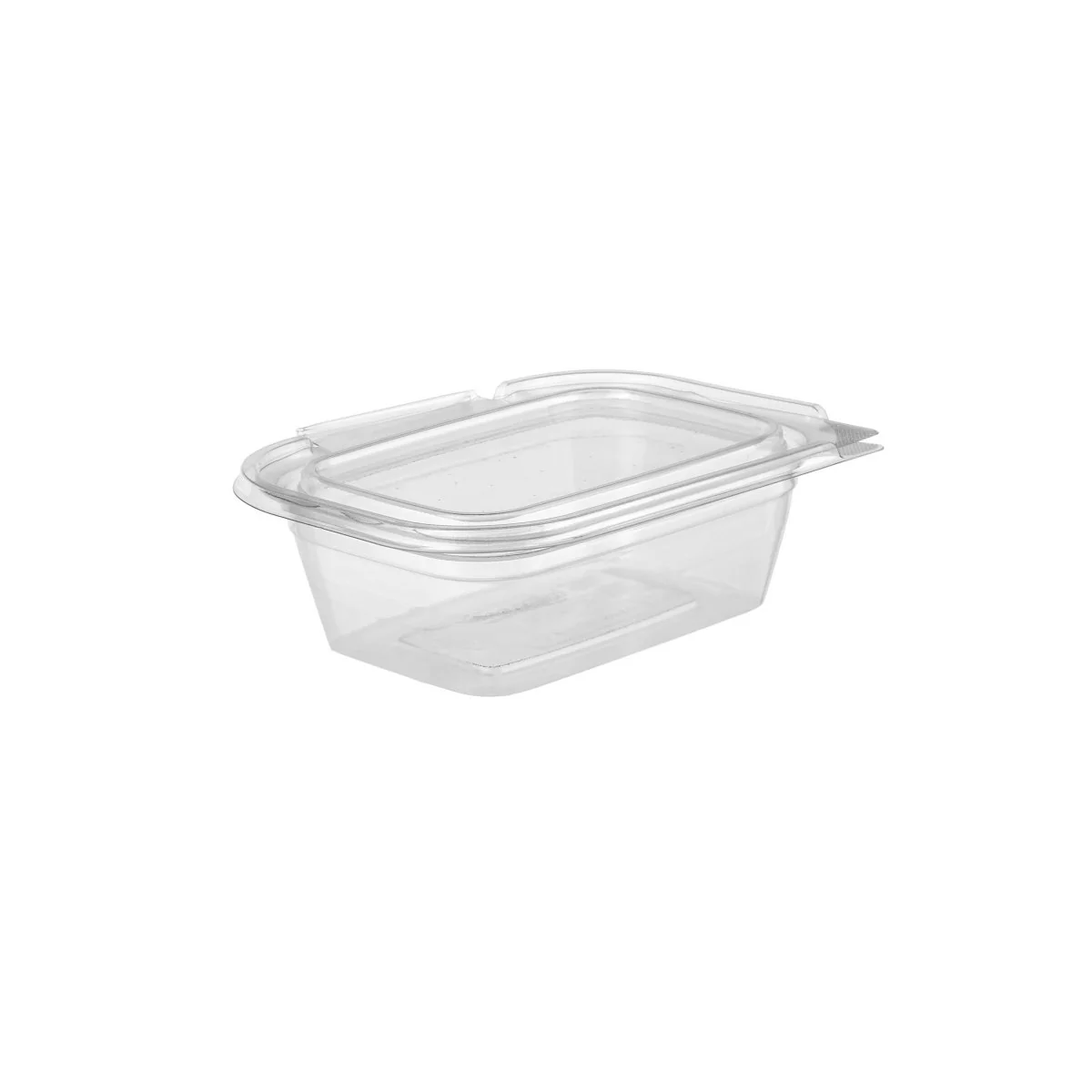 Hinged Square Deli Clear PET Container - Image 6