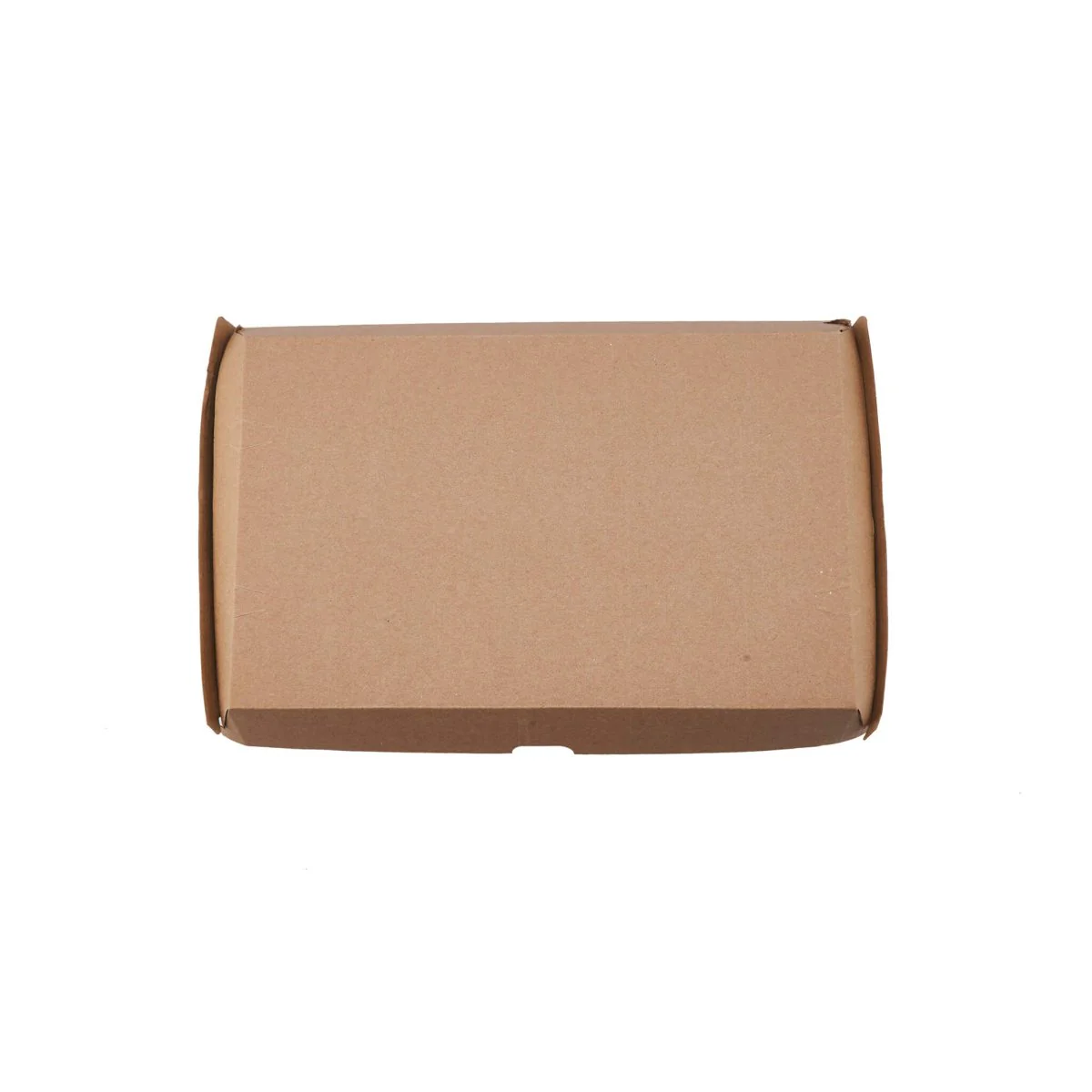 Kraft Flute Family Pack 290X170X80 mm 100 Pieces - Image 5