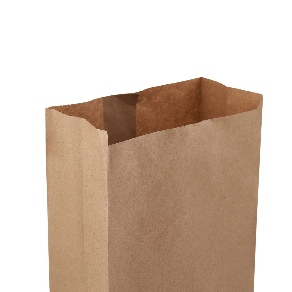 Pinch or Flat Bottom Kraft Paper Bags - Image 17