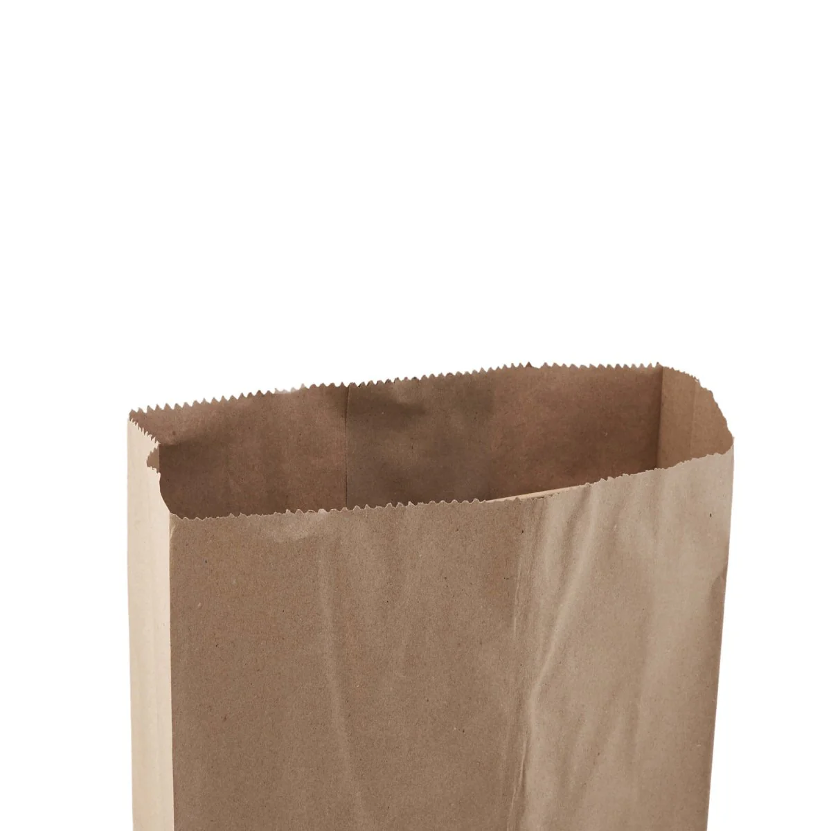 Pinch or Flat Bottom Kraft Paper Bags - Image 29