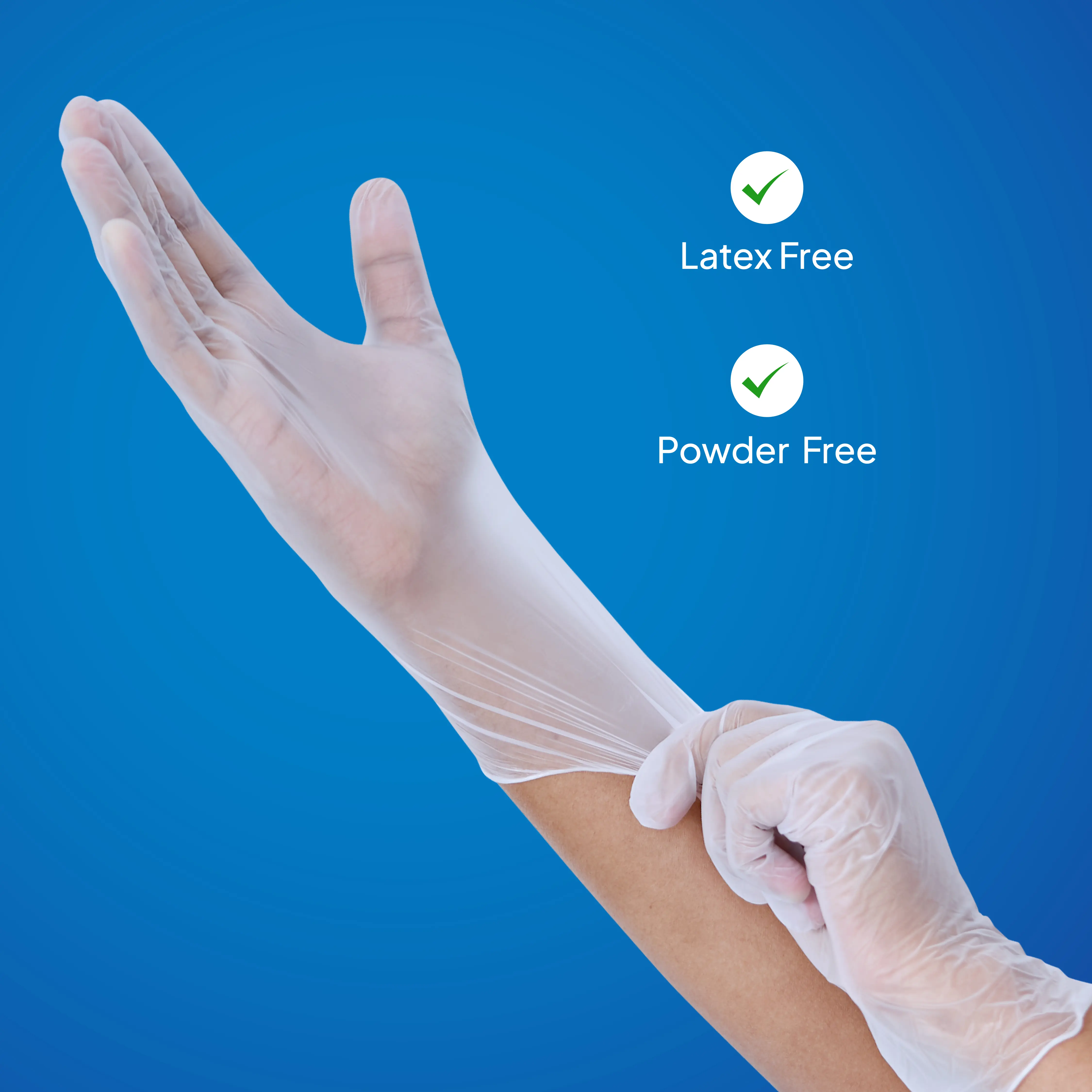 Powder Free Vinyl Gloves - Image 2
