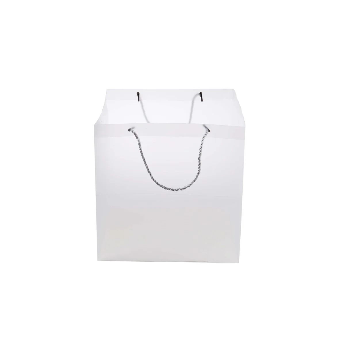 PP Clear Luxury Gift  Bag - Image 4