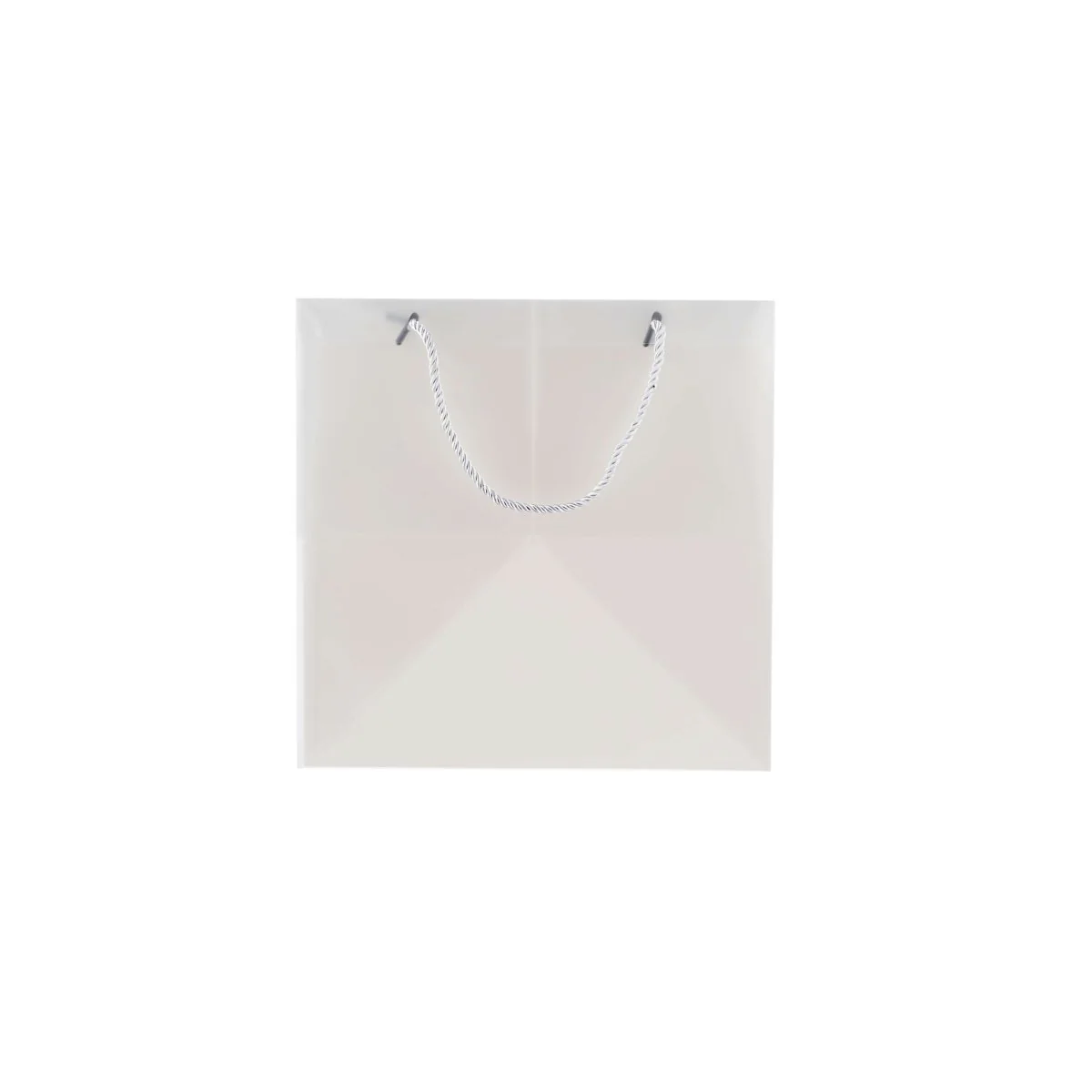 PP Clear Luxury Gift  Bag - Image 5