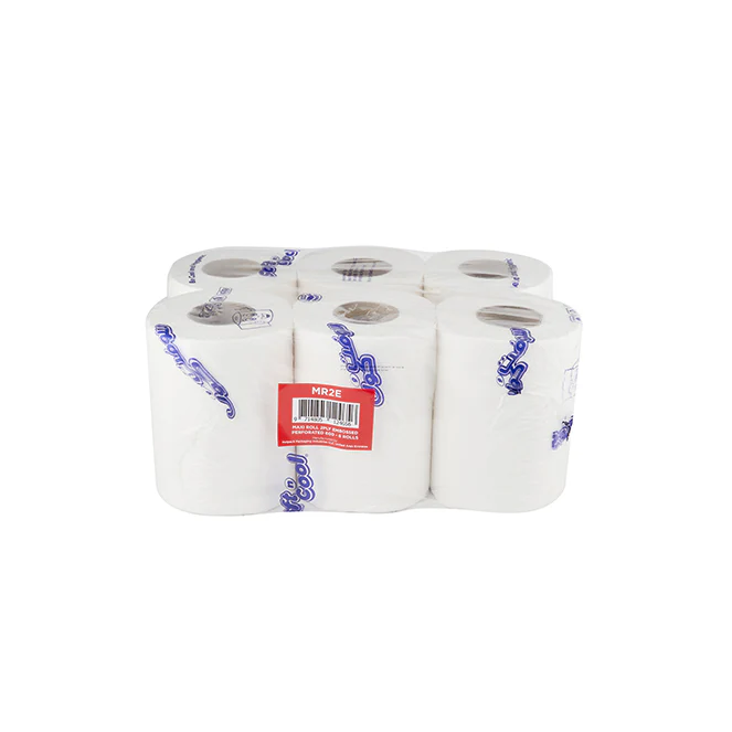 Soft n Cool Paper Maxi Roll Embossed Perforated 600 Gram 2 Ply - Image 2
