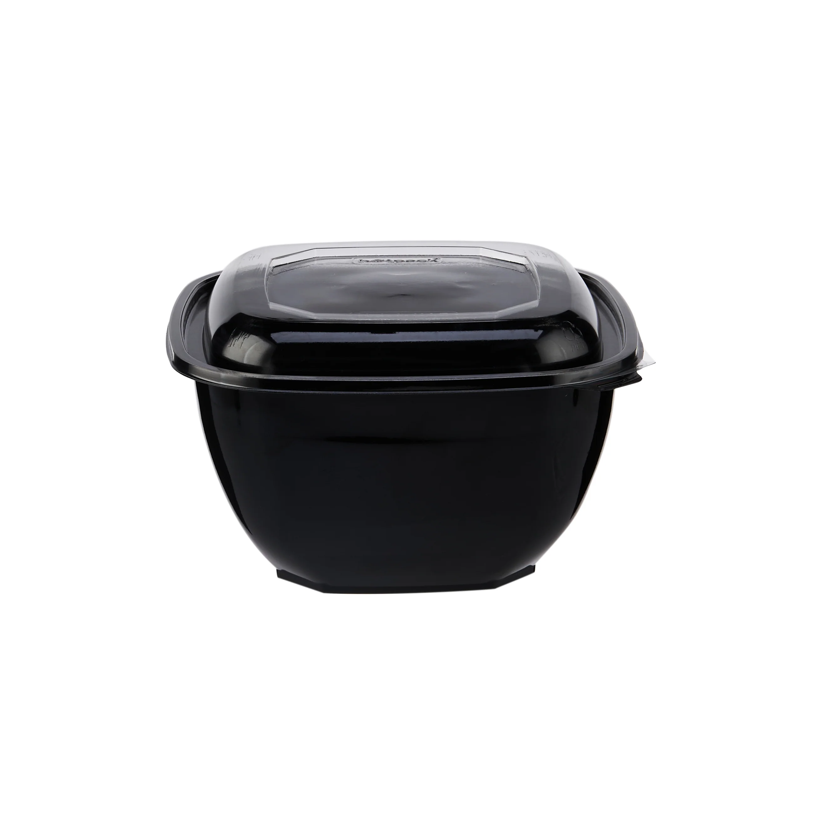 Square Salad Bowl With Clear Lid - Image 35