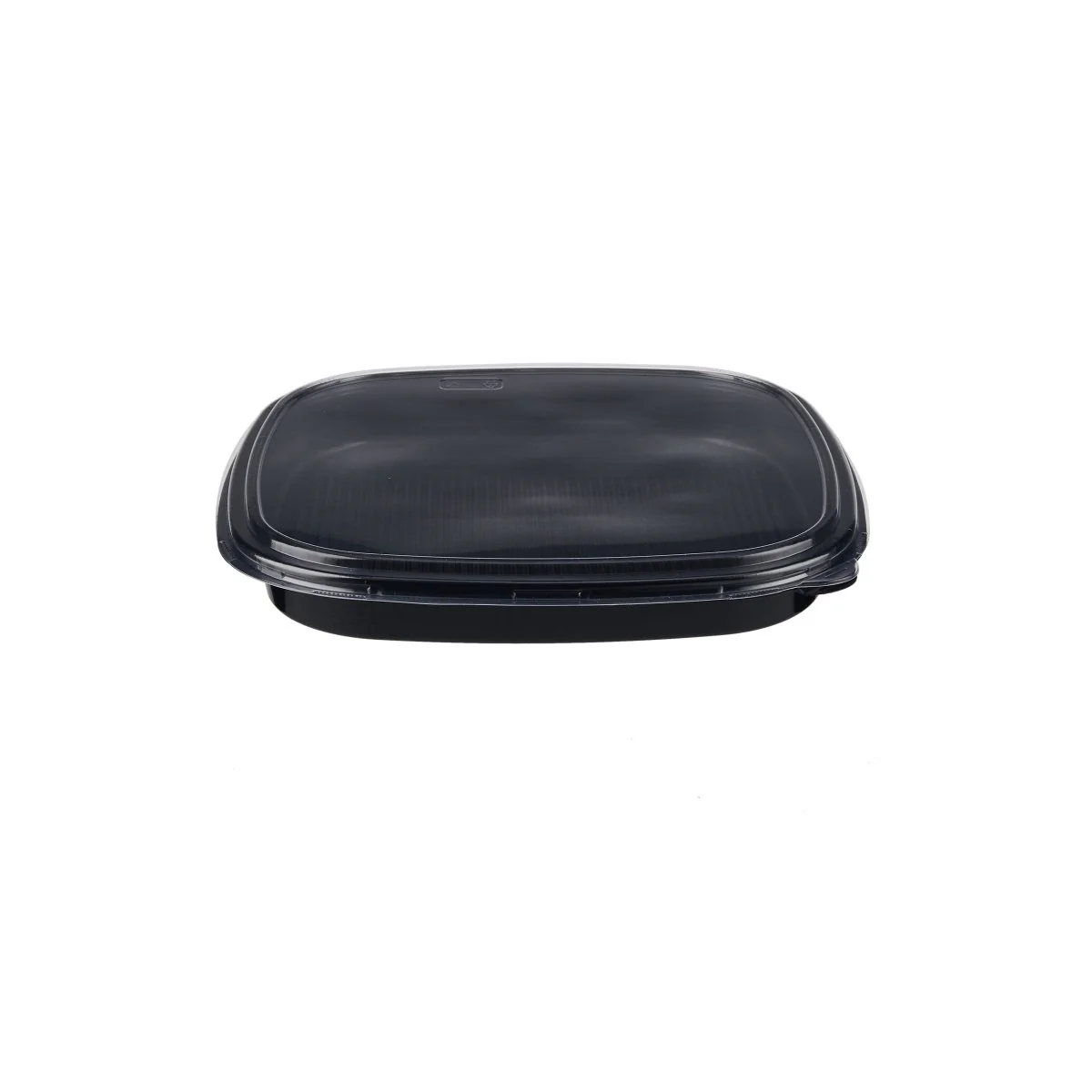 Square Shape Sushi Container With Lid - Image 11