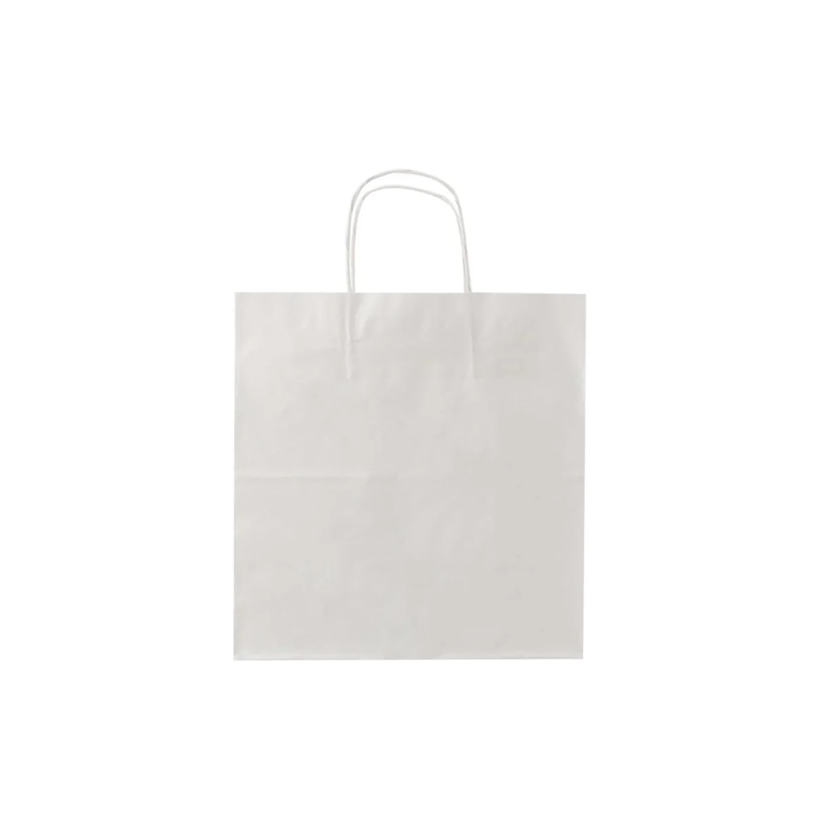 White Twisted Handle Paper Bag - Image 9