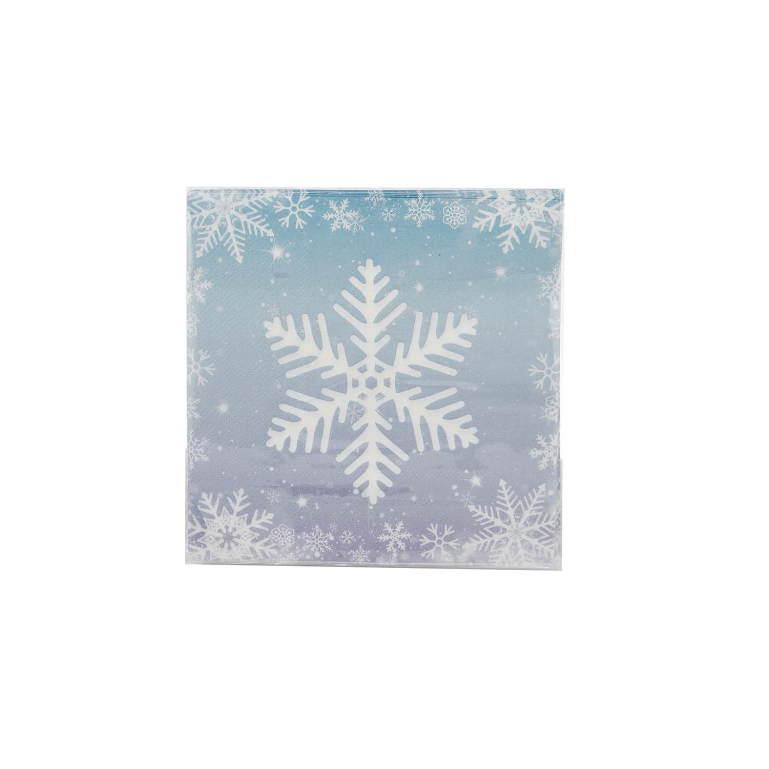 Winter Theme Combo Set - Image 8